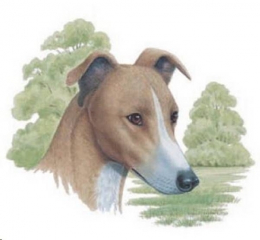 Decal - Hund - Greyhound – 75MM