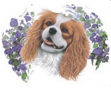 Decal - Hund - King Charles – 75MM