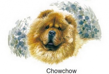 Decal - Hund - Chowchow - 75MM