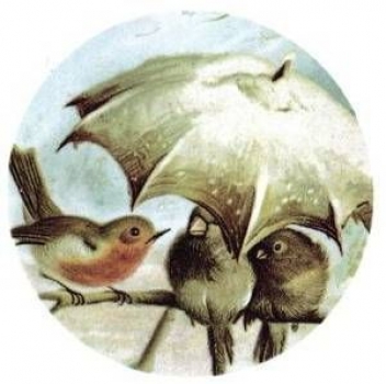 Decal - Rainy Day - 19,8 cm - DISC