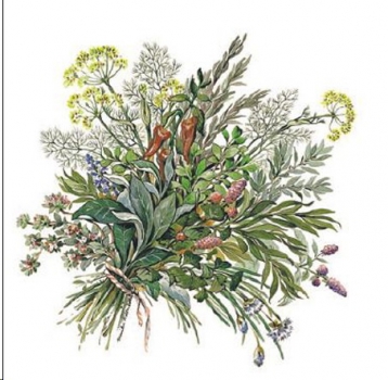 Decal – HERB BUNCH – Kräuterstrauß – 65 mm