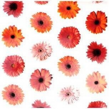 Decal - Gerbera Chintz