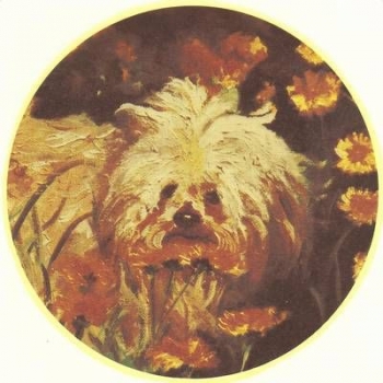 Decal -  Hund - 18 cm