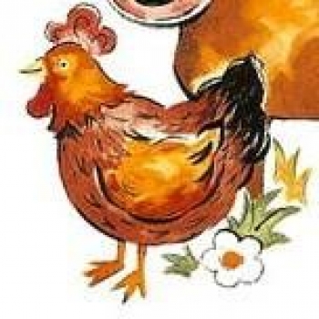 Decal - ANIMAL FARM 50MM – Huhn