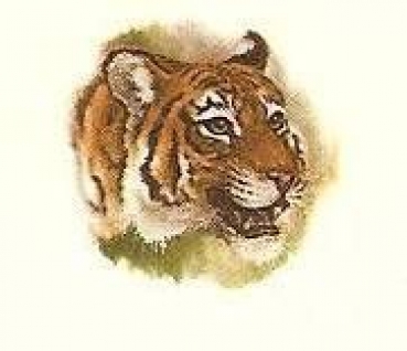 Decal - TIGER 15 MM
