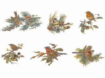 Decal - BIRDS 22mm – 6 verschiedene