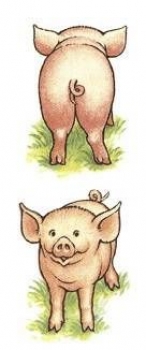 Decal - Piggies - 2er-Satz 50 x 35 mm