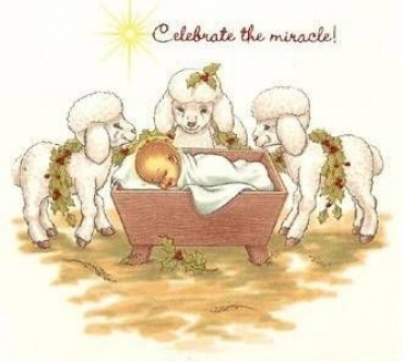 Decal - Celebrate the Miracle - 65 MM