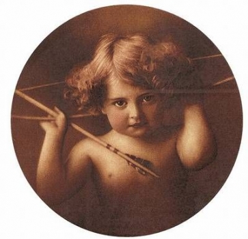 Decal - CUPID AWAKE 100M