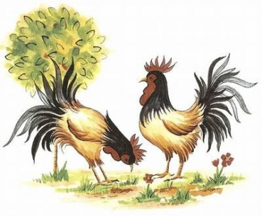 Decal - COCKEREL - Hähne - 75 x 60 mm - DISC