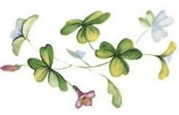 Decal - SHAMROCK 50X30MM