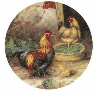 Decal - ROOSTER 75 MM