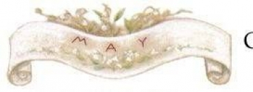 Decal - Flowers of the Month - May - 50x25 mm