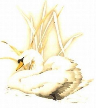 Decal - Schwan - 50 x 50 mm