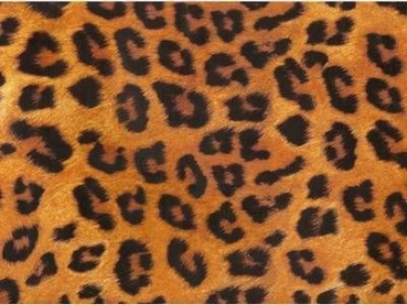 Decal - Leopard CHINTZ