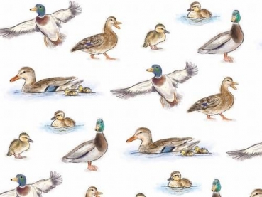 Decal - MALLARD CHINTZ