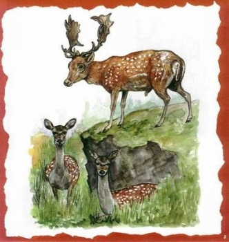 8 Bögen je 17 x 37,5 cm – VLOEI-Dekormotiv03 - Damwild