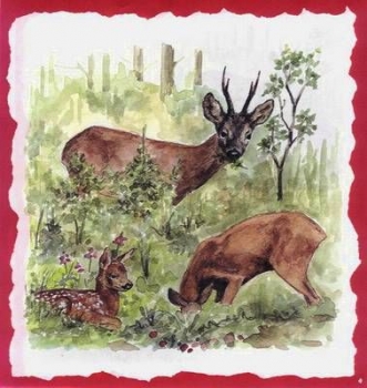 10 Bögen je 17 x 37,5 cm - VLOEI-Dekormotiv 04 - Rehe