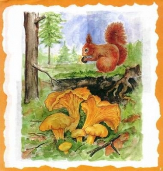 10 Bögen je 17 x 37,5 cm - VLOEI-Dekormotiv 05 – Eichhörnchen
