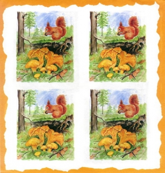 10 Bögen je 17 x 37,5 cm - VLOEI-Dekormotiv 05 – Eichhörnchen