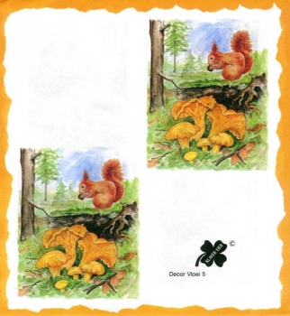 10 Bögen je 17 x 37,5 cm - VLOEI-Dekormotiv 05 – Eichhörnchen