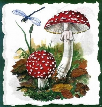 10 Bögen je 17 x 37,5 cm - VLOEI-Dekormotiv 14 - Fliegenpilz