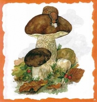10 Bögen je 17 x 37,5 cm - VLOEI-Dekormotiv 35 - Steinpilze
