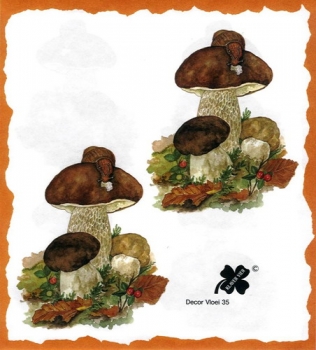 10 Bögen je 17 x 37,5 cm - VLOEI-Dekormotiv 35 - Steinpilze