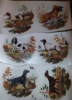 Decal - Jagdhunde - 6 Motive