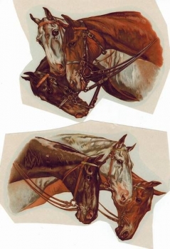 Decal – Pferdeköpfe - 2 Motive