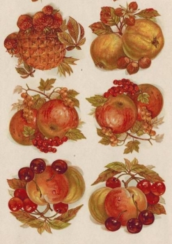 Decal - Obst - 6 Motive