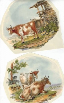 Decal – Kühe - Bauernhof - 2 versch. Motive