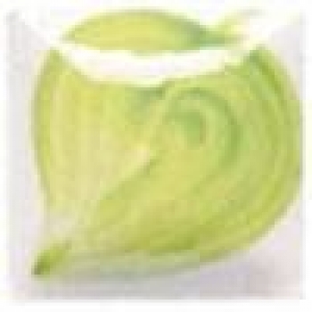 EZ Stroke - Neon Green - 29,5 ml - Unterglasurfarbe von DUNCAN – DISC