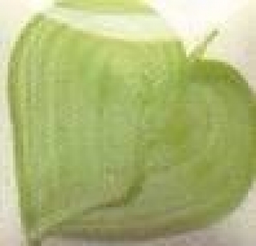EZ Stroke - Leaf Green - 29,5 ml - Unterglasurfarbe von DUNCAN - Best of DUNCAN