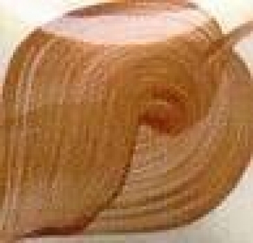 EZ Stroke - Medium Mahagony - 29,5 ml - Unterglasurfarbe von DUNCAN – DISC