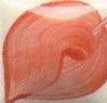 EZ Stroke - Brick Red - 29,5 ml - Unterglasurfarbe von DUNCAN - DISC