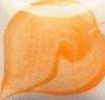EZ Stroke - Poppy Orange - 29,5 ml - Unterglasurfarbe von DUNCAN - Best of DUNCAN