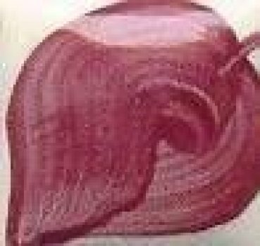 EZ Stroke - Wine Berry - 29,5 ml - Unterglasurfarbe von DUNCAN / MAYCO