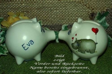 Sparschwein mit Stopfen – 10 x 8,5 x 8,5 cm - Nilpferdmotiv – fester Name: Eva