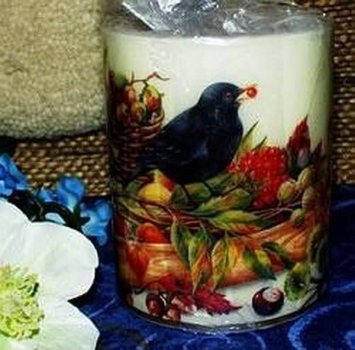 Windlicht / Kerze - Blackbird cream