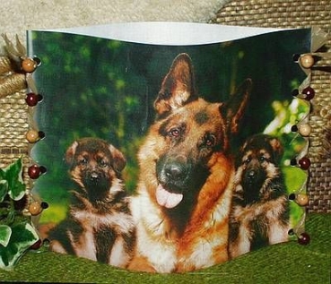 Foto-Lampe für Teelicht - Motiv  Schäferhunde