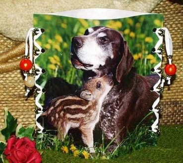 Lantern made of laminated motif for tealight - Hund mit Frischling