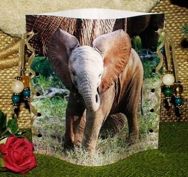 Lantern made of laminated motif for tealight – Elefant