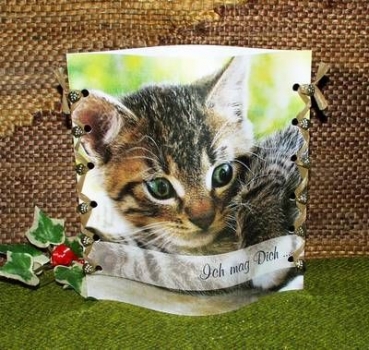 Lantern made of laminated motif for tealight - Katze - Ich mag Dich