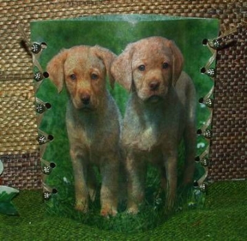 Lantern made of laminated motif for tealight - Hunde