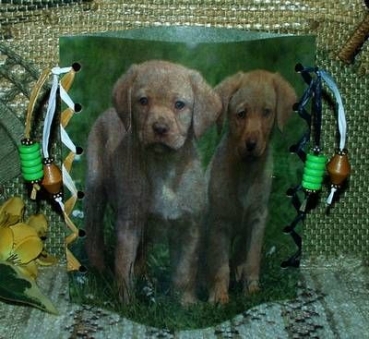 Lantern made of laminated motif for tealight - Hunde