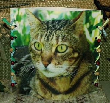 Lantern made of laminated motif for tealight -  Katze