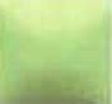 NT-016 – Celery – Kaltmalfarbe von DUNCAN – 29,5 ml – Altbestand