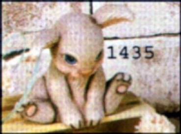 SCIOTO-Gießform – gebraucht – sitzender Hase - 11,2 cm hoch - gute Form