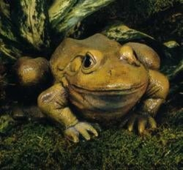 großer Frosch – 25 cm lang – Schrühware